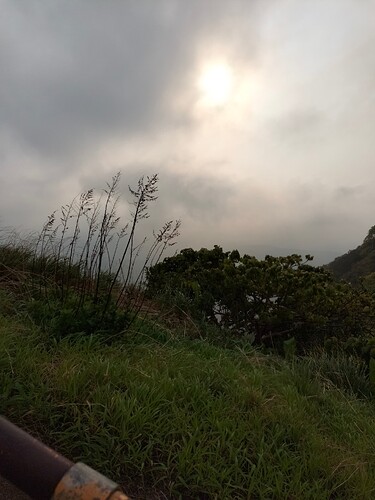 IMG20240526072739